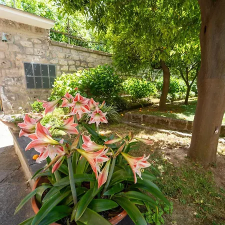 Casa Camille In Sorrento
